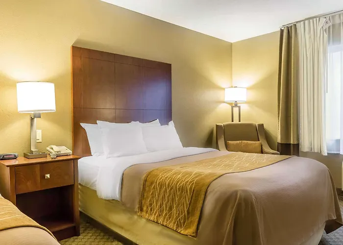 Hotel Comfort & Near I-80 East Moline
