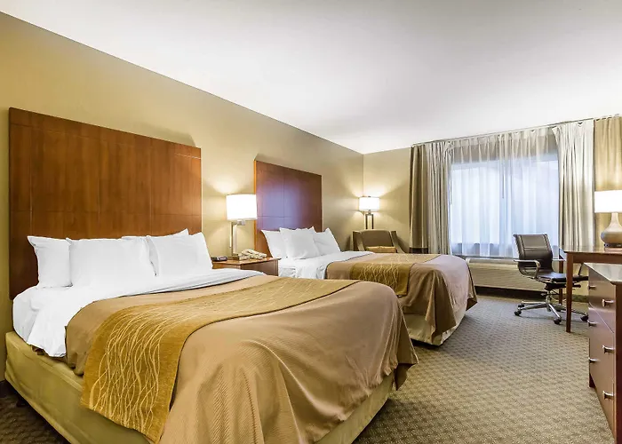Comfort & Near I-80 Hotel East Moline